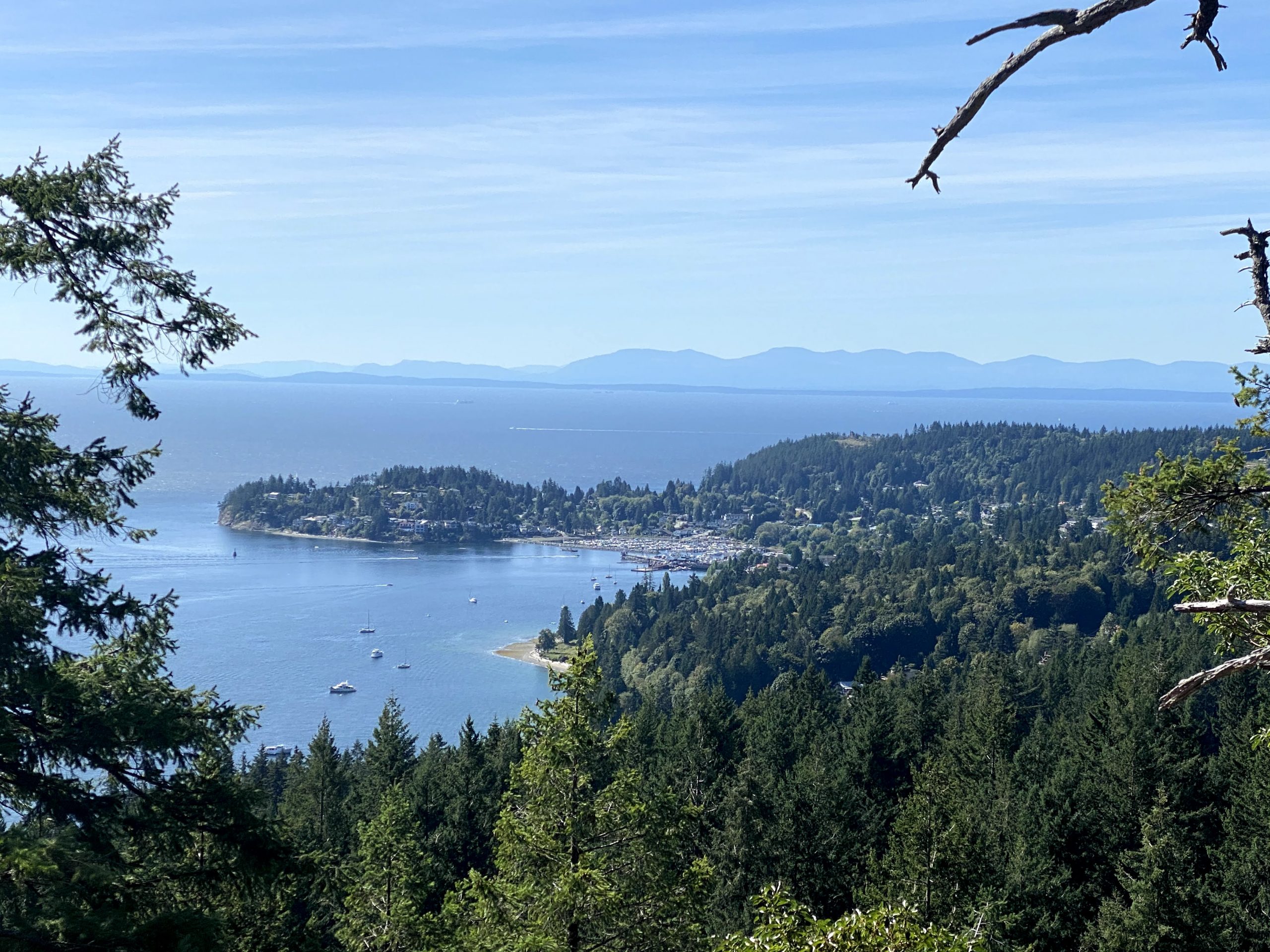A view of Gibsons from atop Soames Hill
